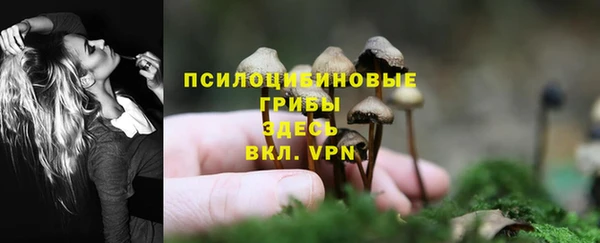 mdpv Михайловск