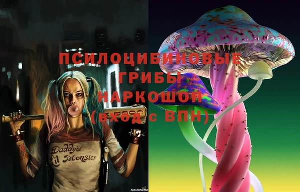 mdpv Михайловск