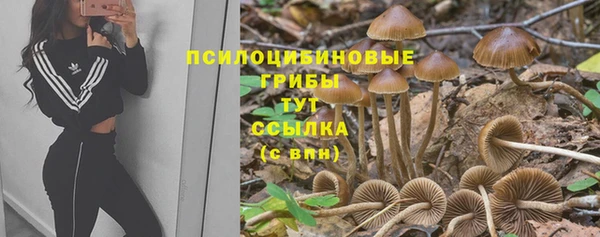 синтетический гашиш Михайлов