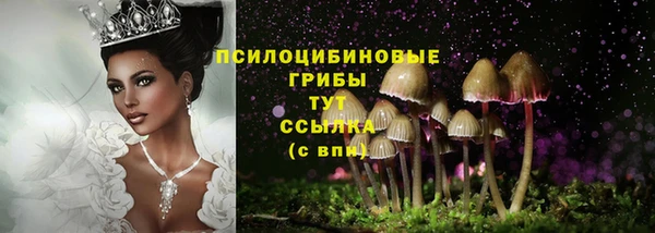 синтетический гашиш Михайлов